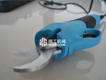 果樹修剪時，電動修枝剪助您一臂之力